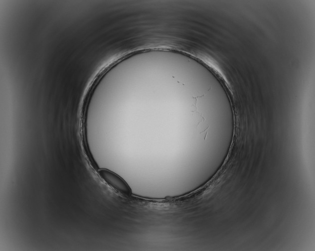 X0000086941088200704161029