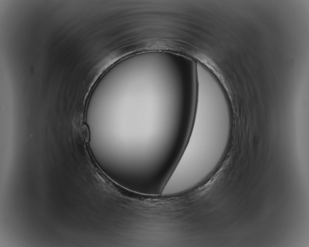 X0000086941089200704161029
