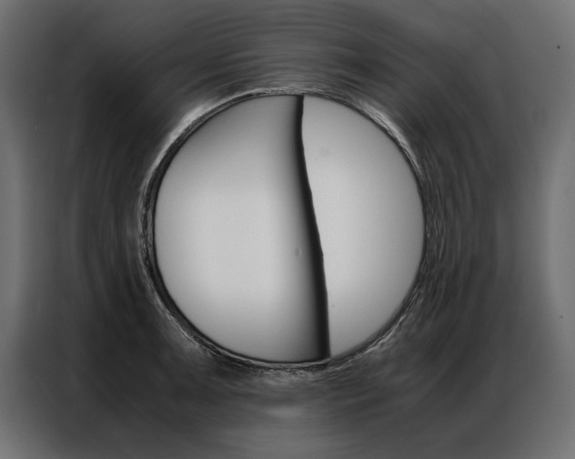 X0000086941091200704161029