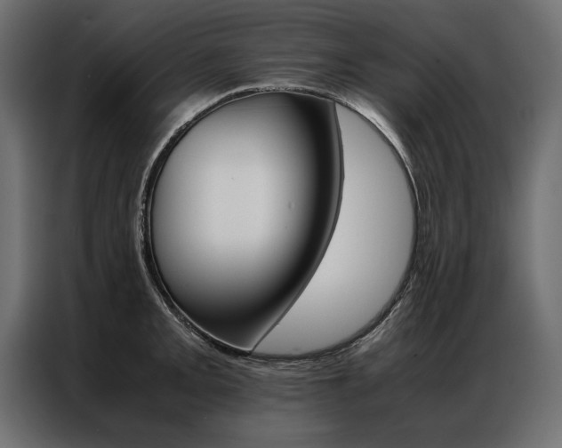 X0000086941093200704161029