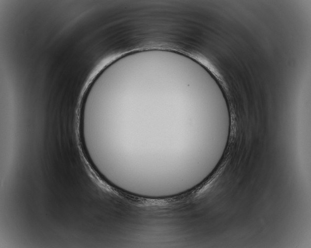 X0000086941094200704161029