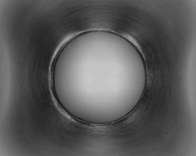 X0000086941096200704161029