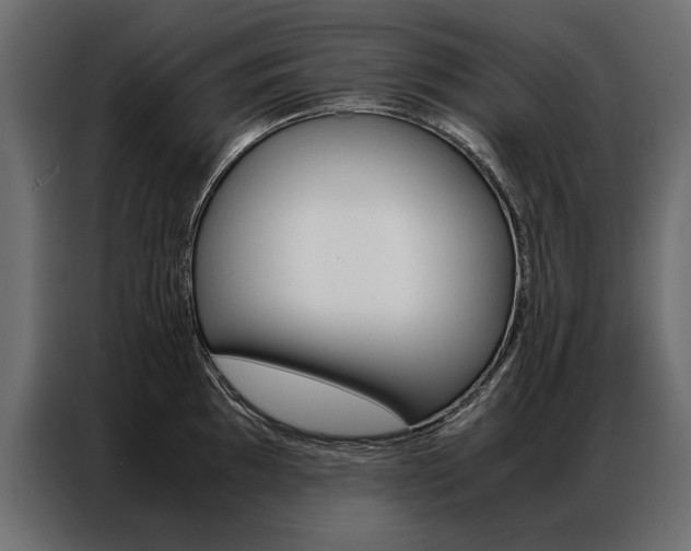 X0000086941097200704161029