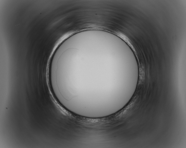 X0000086941098200704161029