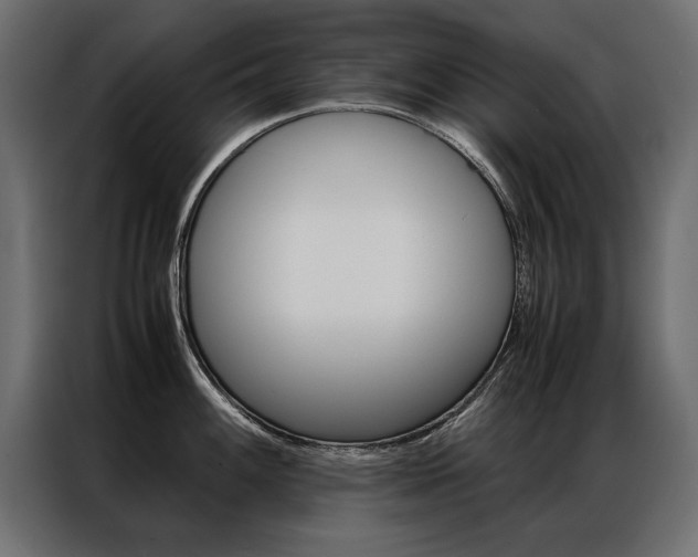 X0000086941100200704161029