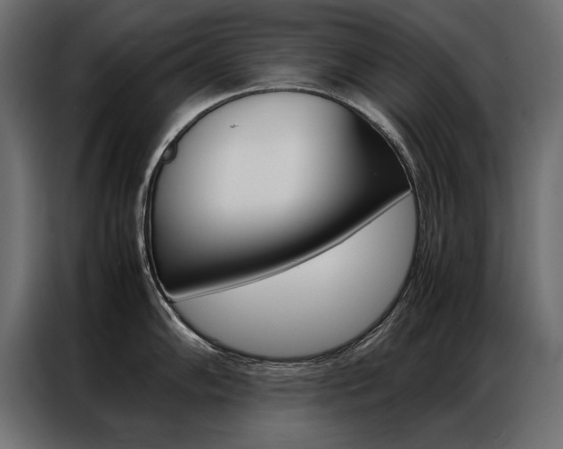 X0000086941102200704161029