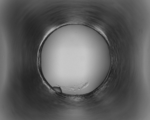 X0000086941103200704161029