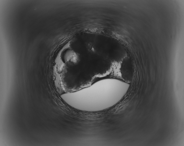X0000086941105200704161028
