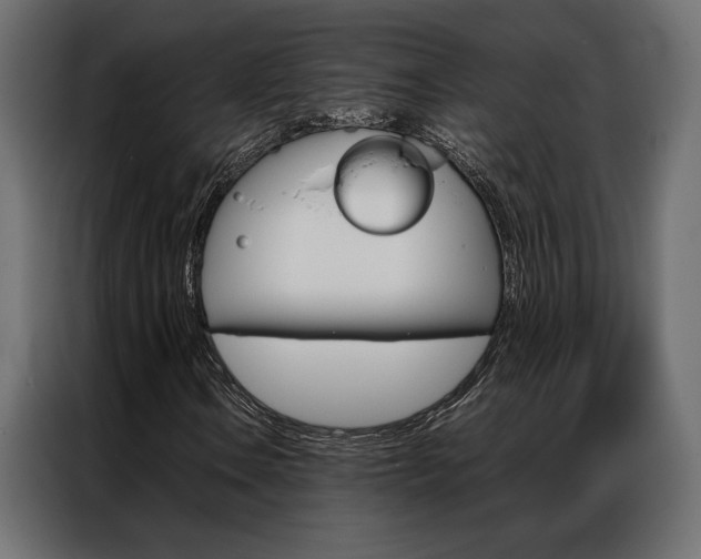X0000086941106200704161028