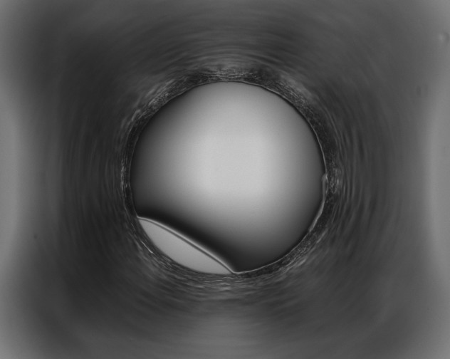 X0000086941108200704161028