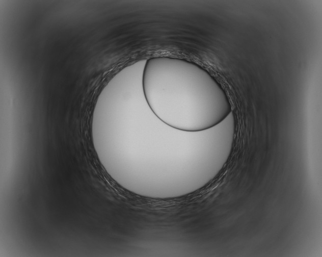 X0000086941109200704161028