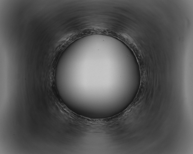 X0000086941110200704161028