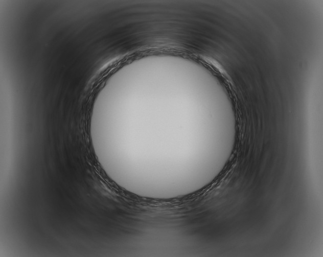 X0000086941112200704161028