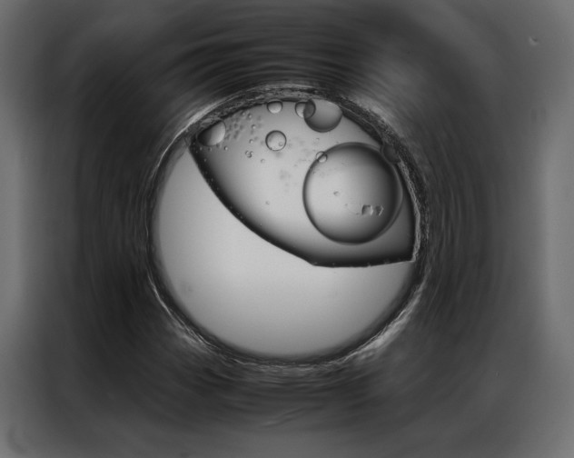X0000086941113200704161029