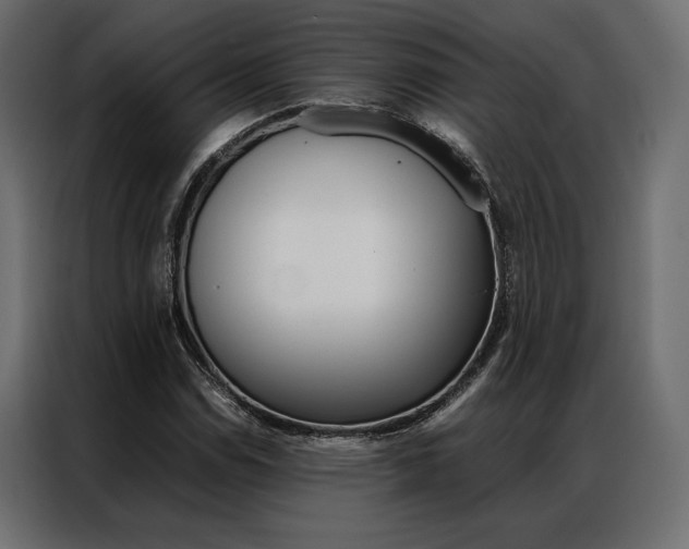 X0000086941114200704161029