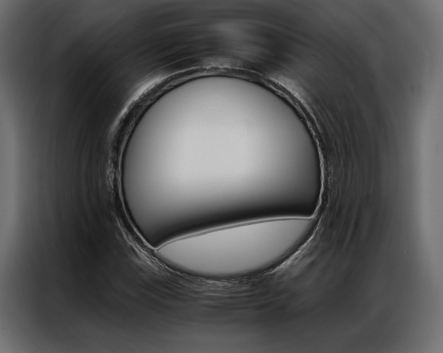 X0000086941115200704161029