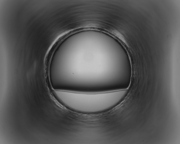 X0000086941116200704161029