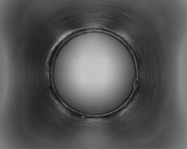 X0000086941118200704161029