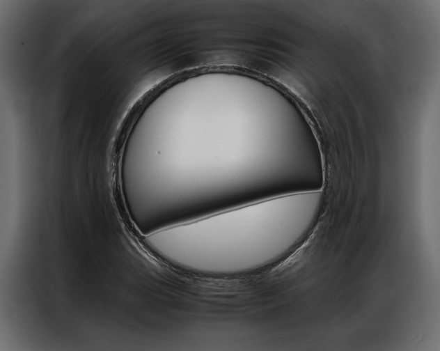 X0000086941119200704161029