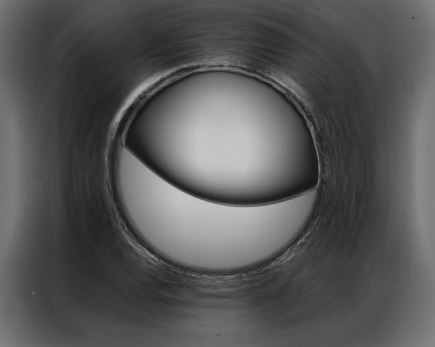 X0000086941120200704161029