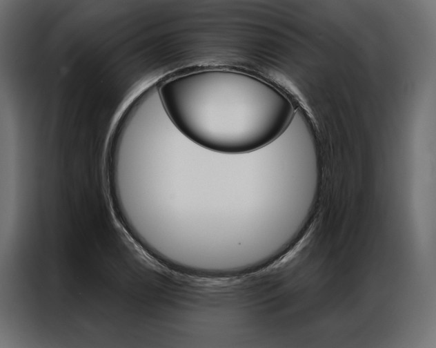 X0000086941122200704161029