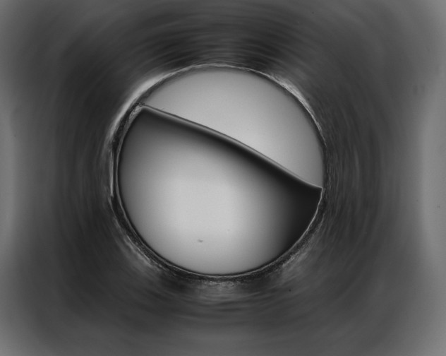X0000086941123200704161029