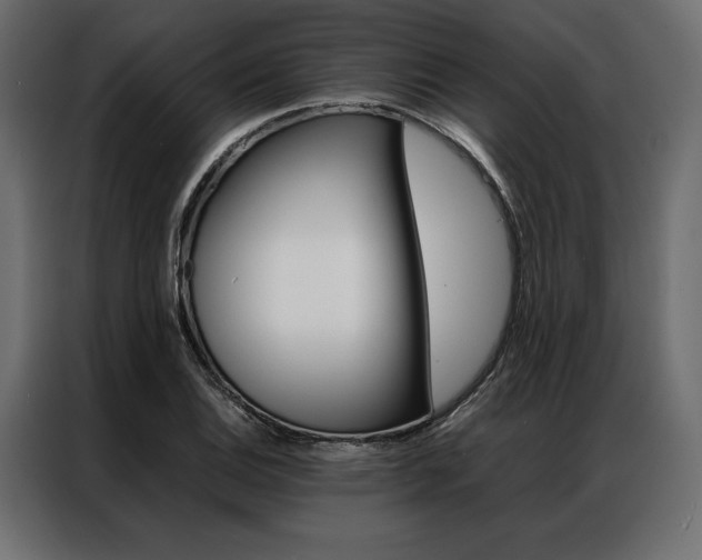 X0000086941124200704161029