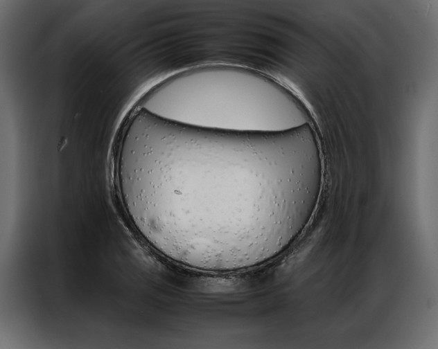 X0000086941125200704161029