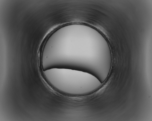X0000086941126200704161029