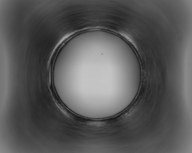 X0000086941127200704161029