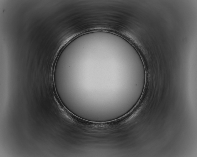 X0000086941129200704161029
