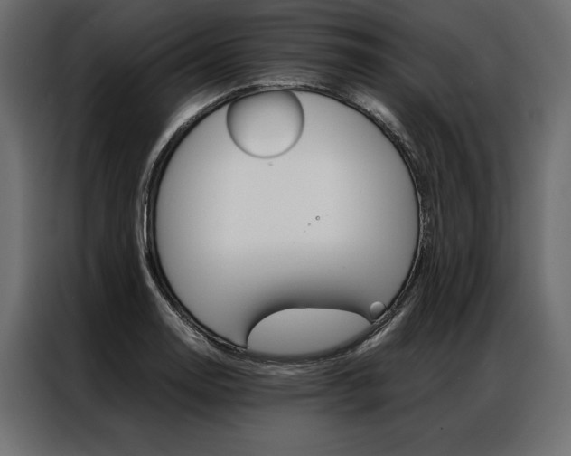 X0000086941130200704161029