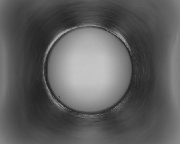 X0000086941132200704161029