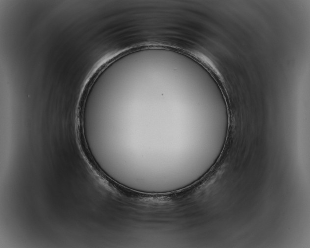 X0000086941133200704161029