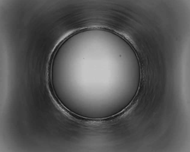 X0000086941134200704161029
