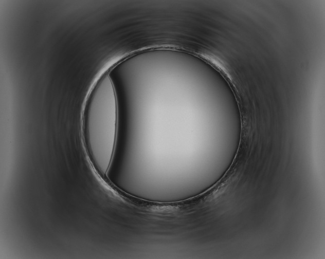 X0000086941135200704161029