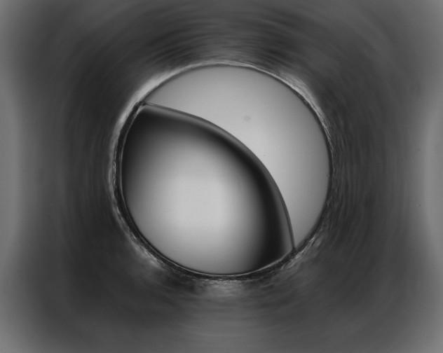 X0000086941136200704161029