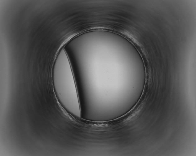 X0000086941137200704161029