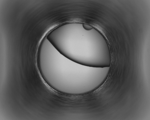 X0000086941139200704161029