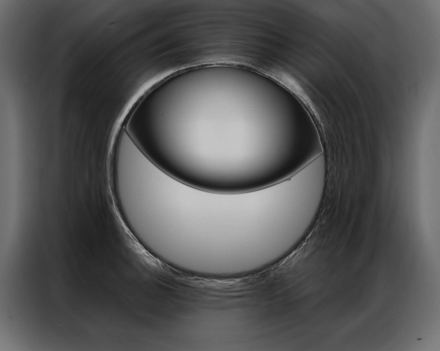 X0000086941140200704161029
