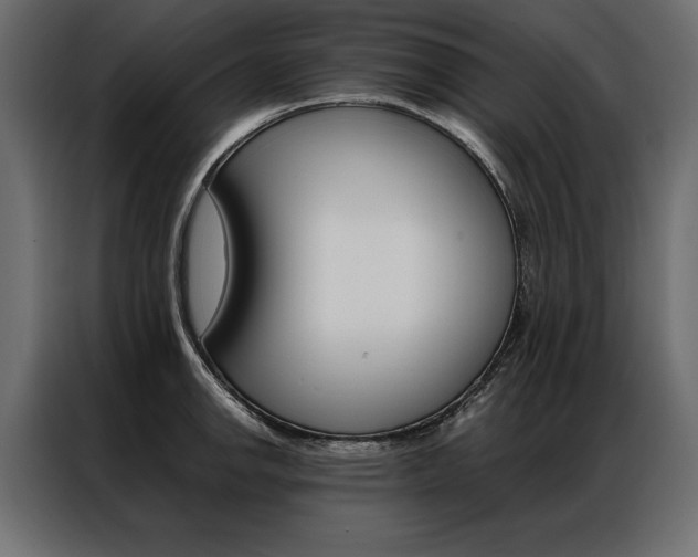 X0000086941142200704161029