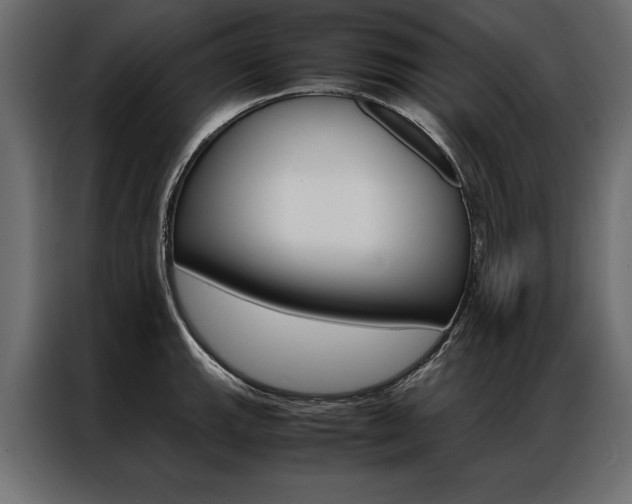 X0000086941143200704161029