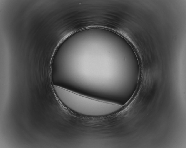 X0000086941145200704161029