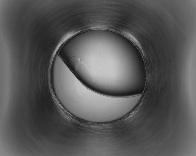 X0000086941146200704161029