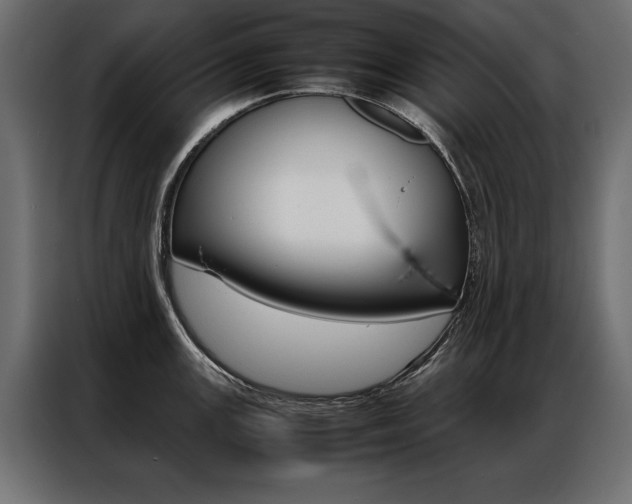 X0000086941147200704161029
