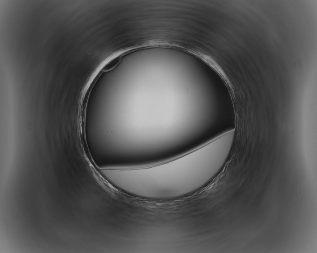 X0000086941148200704161029