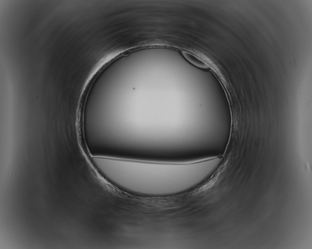 X0000086941149200704161029