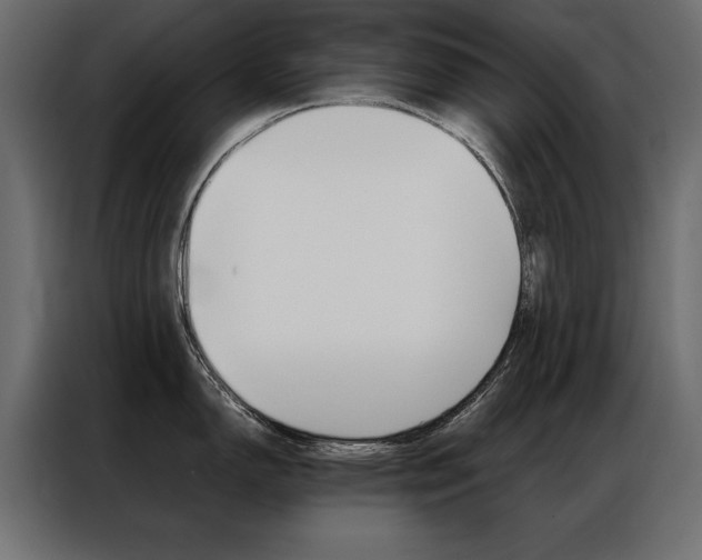 X0000086941150200704161029