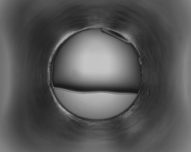 X0000086941151200704161029