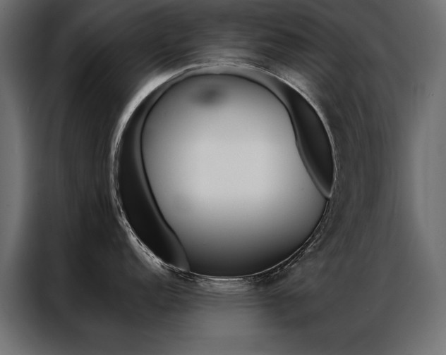 X0000086941152200704161029